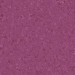 thh 21020776 001.jpg