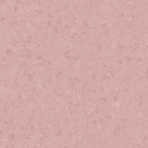 thh 21020781 001.jpg