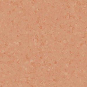 thh 21020784 21086784 001.jpg