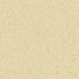 thh 21020786 21086786 001.jpg