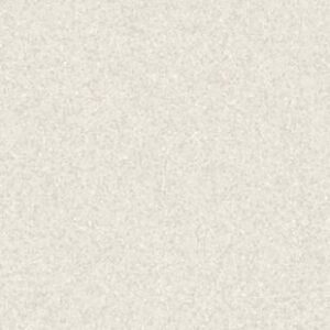 th 21020969 21021969 21022969 800 800 1.jpg