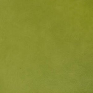 Omnisports V65 th omnisports esquisse light green.jpg