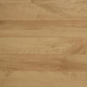 Omnisports V65 th omnisports maple.jpg