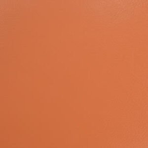 Omnisports V65 th omnisports orange.jpg