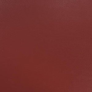 Omnisports V65 th omnisports red.jpg