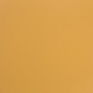 Omnisports V65 th omnisports yellow.jpg